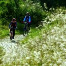 대전일보 이미지