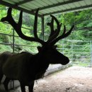 영옥농장 이미지