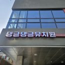 댕글댕글유치원 이미지