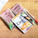 날라리 캣 이미지