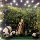 금포로 | 김포 아기랑 이색카페 추천 🌿 대나무숲 감성 가득한 [뱀부포레스트] 내돈내산 후기🐼