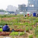 이언농장 이미지