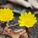 찬물내기 이미지