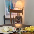 동광로18길 82 이미지