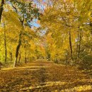 가곡농장 이미지