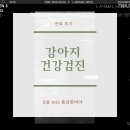 엘동물병원 이미지