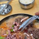 신라전골 | 강변 테크노마트 9층 식당 한식 맛집 불낙전골 내돈내먹 후기 :: 신라전골