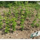 녹전초등학교 이미지