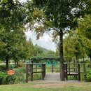 모네의 정원 이미지