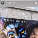 매일매일봄날