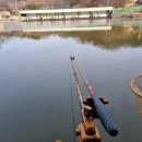 오룡낚시터 이미지