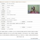 아지사랑 이미지