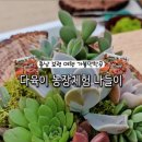 보령 나들이 1코스 네이버블로그