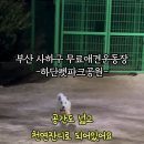 하단동1163 이미지