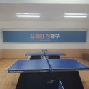 유쾌한권탁구