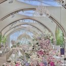 더 링크 서울, 트리뷰트 포트폴리오 호텔 이미지