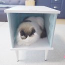 아트룸(ARTROOM)