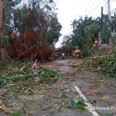필리핀 강타 태풍 ‘라이’ 사망자 점점늘어… 거주 한인피해도 이미지