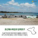 표선면-7 이미지