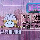 분홍따개비