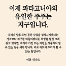 김여시만 모르는 올해 지구촌 뉴스 이미지