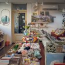 날아라 햄찌 이미지