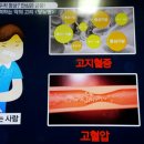 당뇨병 합병증과 예방하는 당뇨김밥 이미지