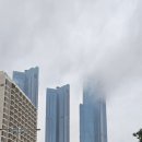 선미아구찜 이미지