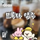 브루다 양주 | 브루다 양주… 내돈내산 후기