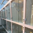 멍미 | 부천 애견호텔 꼼꼼하게 돌봐주는 멍미 이용후기