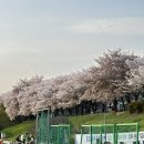 세븐일레븐 대구동구점 네이버블로그