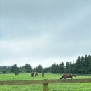 이시돌영농조합법인 이미지