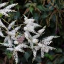 눈빛한의원 이미지