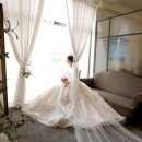 송경미 | 대구 갓성비 본식스냅 "올리정"(추천인코드O) 올리정 추천인 코드