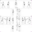 태극태권도 이미지