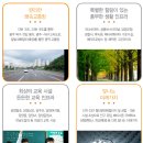 담주초등학교 | 담양 더테라스 타운하우스 한국아델리움 진행 과정
