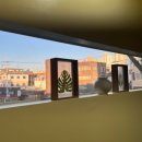 고대 스테이 이미지