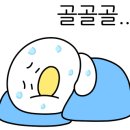 사파동247 이미지