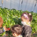 봄이네 농장 이미지