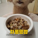 농부의 자연식 | 제주농부의 수제 강아지 화식 추천 차롱멍밥 간식 후기