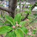 이안농장 이미지