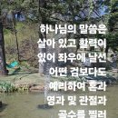 " 영과 혼과 몸의 기능" 이미지