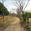 서호공원 이미지