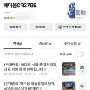 해마음 | 농라 해마음 / 총알 오징어 튀김 부침개 라면