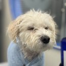 멍무드 살롱 이미지