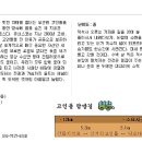 고인돌탐방길 티스토리
