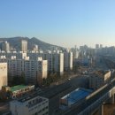 거벌공인중개사사무소 이미지