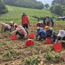 골든에그 이미지