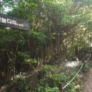 방아다리쉼터1 | 전남 숨은 명소 관매도 섬여행, 자연 그대로 비경을 간직한 진도 가고 싶은 섬 후기