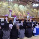 2025 청소년 행복 명상캠프 이미지